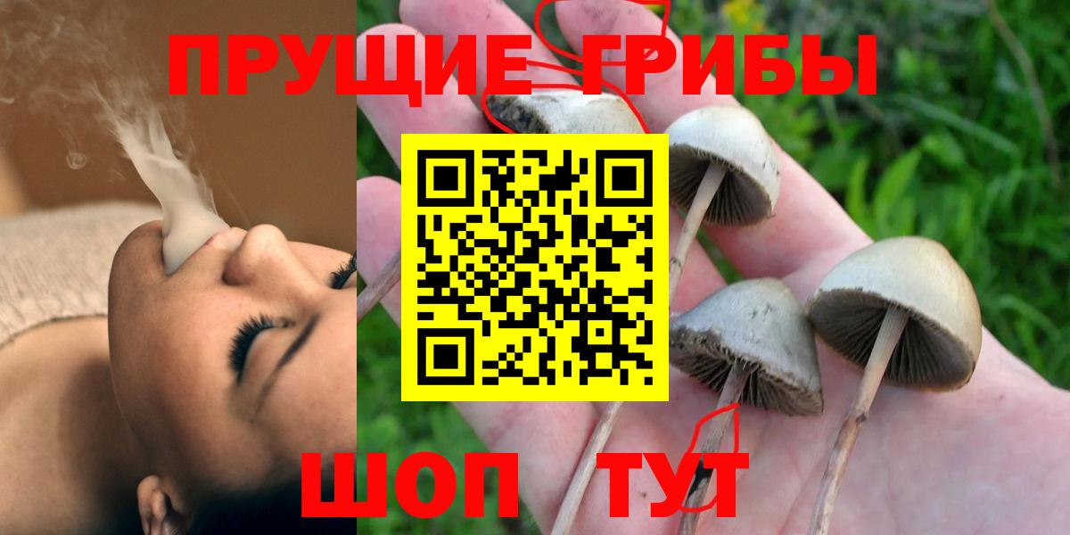Гуково  Псилоцибиновые грибы GOLDEN TEACHER  Вход с VPN 