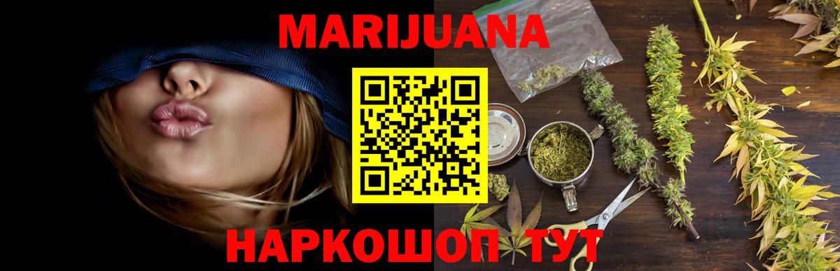 Каннабис OG Kush Гуково